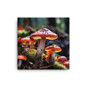 Mystical Mycelium: A Collection of Enchanted Forest Fungi Print One
