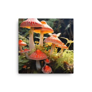 Mystical Mycelium: A Collection of Enchanted Forest Fungi Print Three