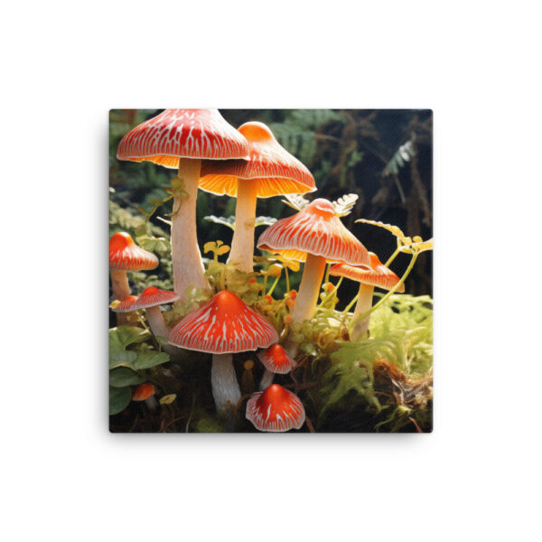 Mystical Mycelium: A Collection of Enchanted Forest Fungi Print Three