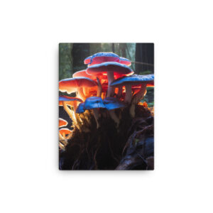 Fungal Fantasia: A Collection of Enthralling Mushroom Magic Print Two