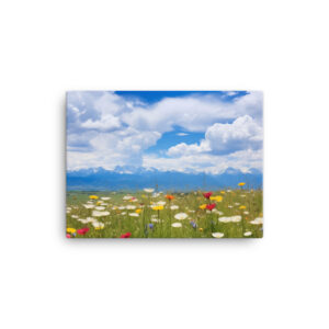 Meadow Whispers: A Collection of Vibrant Mountain Meadows Print Eleven