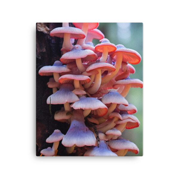 Fungal Fantasia: A Collection of Enthralling Mushroom Magic Print Four - Image 2