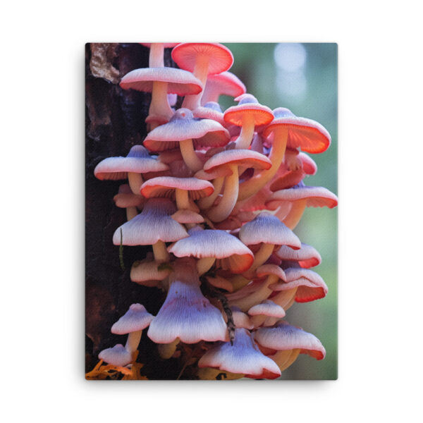 Fungal Fantasia: A Collection of Enthralling Mushroom Magic Print Four - Image 3